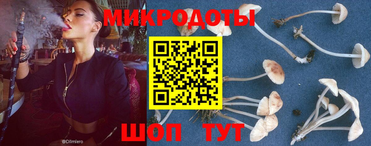 Галлюциногенные грибы GOLDEN TEACHER Воронеж