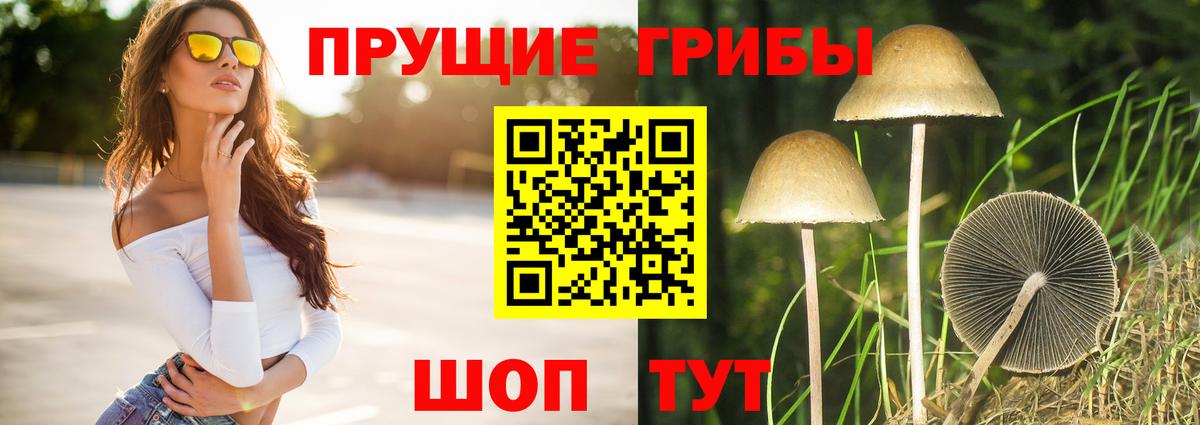 Псилоцибиновые грибы ЛСД  Вход с VPN  Воронеж 